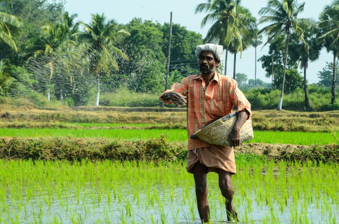 Agricultor trabajando entre cultivos en una economía emergente