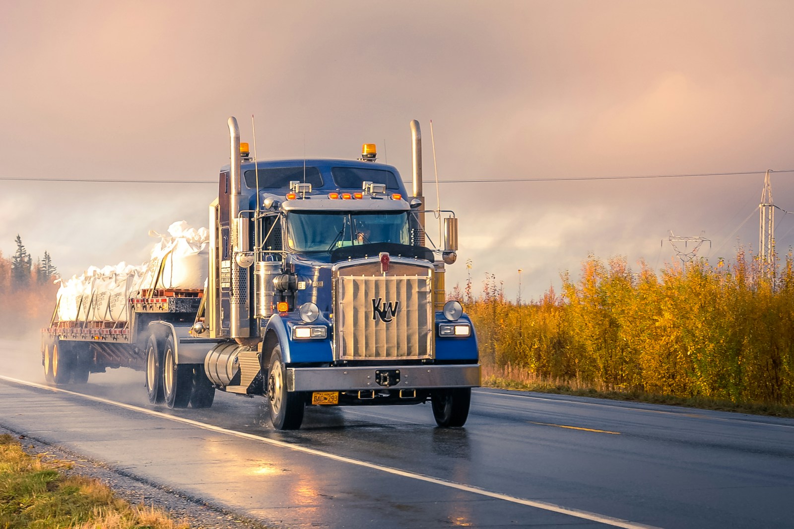 Camión de transporte por carretera en Estados Unidos