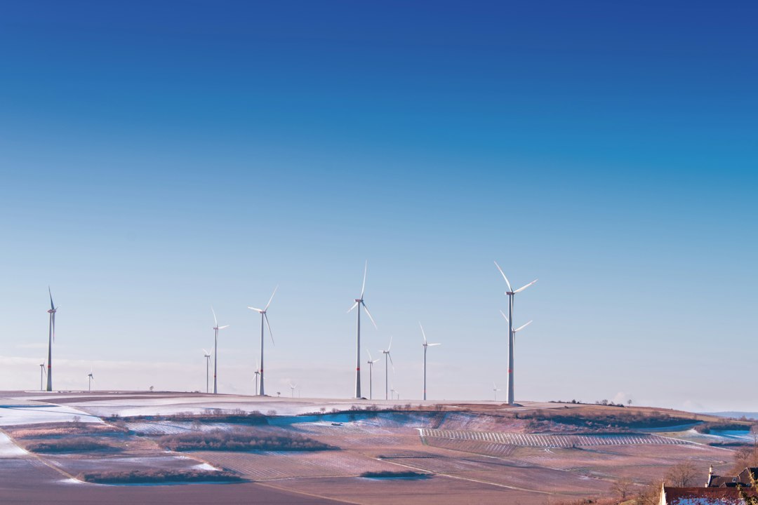 Parque eólico dentro de un proyecto europeo de energía limpia