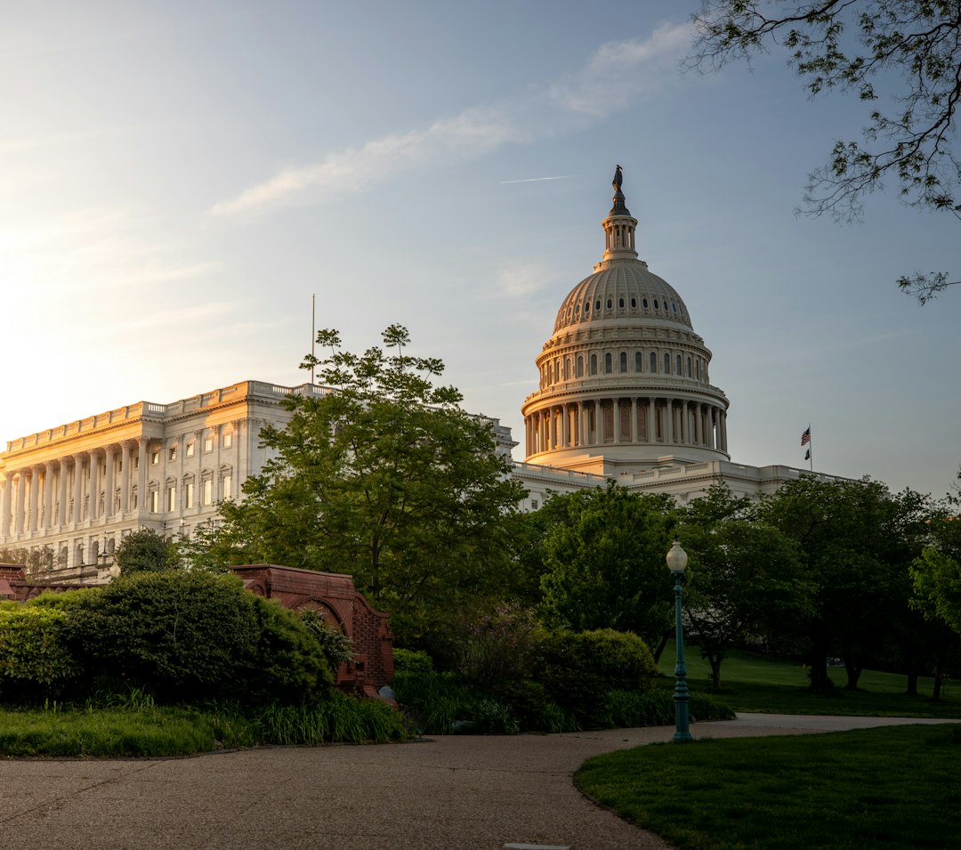 Capitolio de Estados Unidos al amanecer