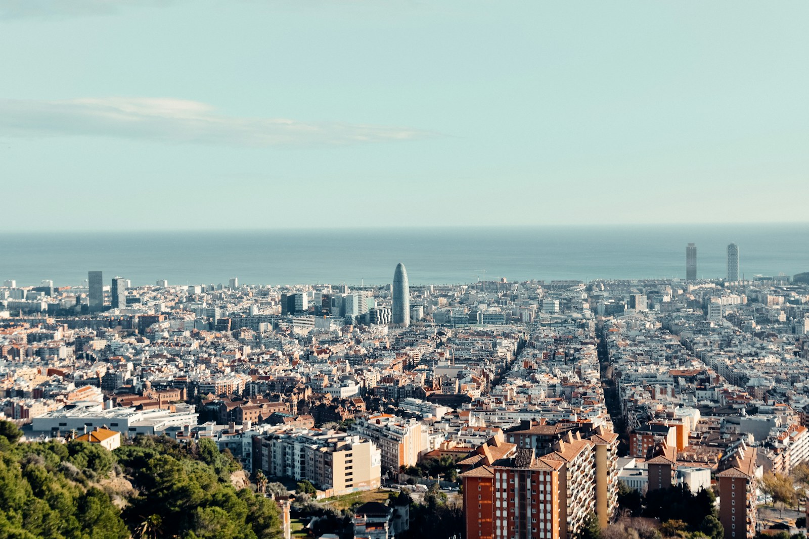 Oficinas y actividad empresarial en España