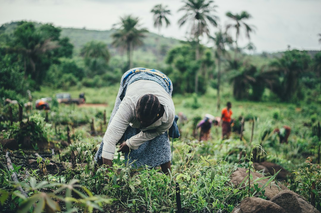Agricultoras trabajando en un cultivo de una economía emergente