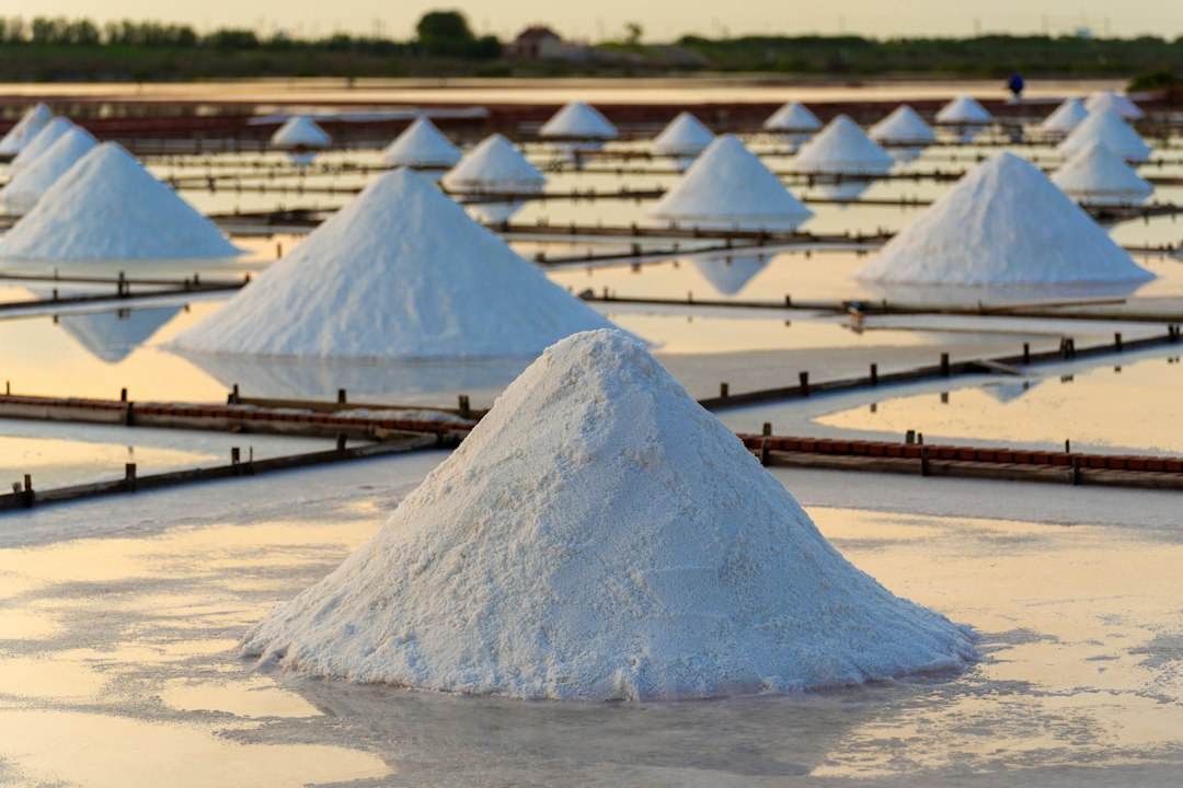 Salinas vinculadas a la extracción de minerales para baterías