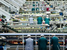 Viscofan gana 111,8 millones y rebaja su objetivo de EBITDA por energía: el coste que el precio no absorbe del todo