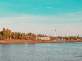 Parque eólico dentro de un proyecto europeo de energía limpia