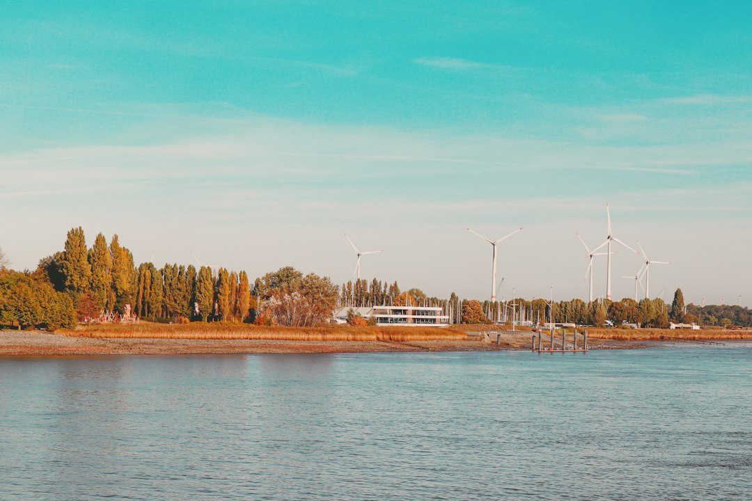 Parque eólico dentro de un proyecto europeo de energía limpia