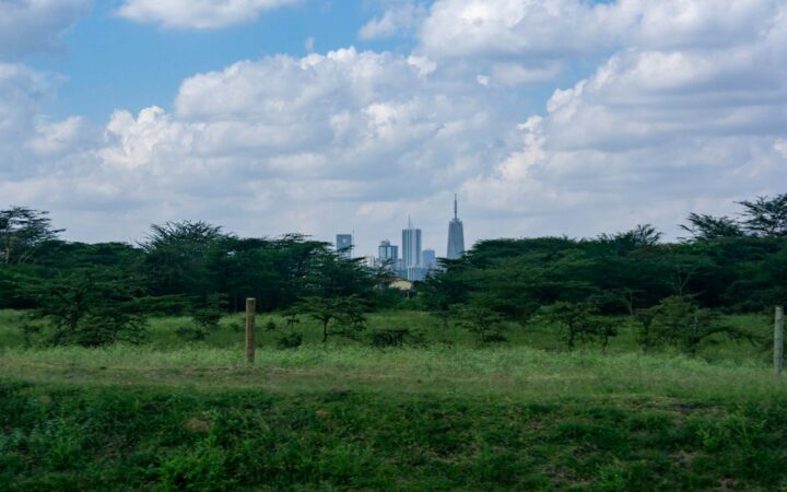 Vista del perfil urbano de Nairobi desde el parque nacional