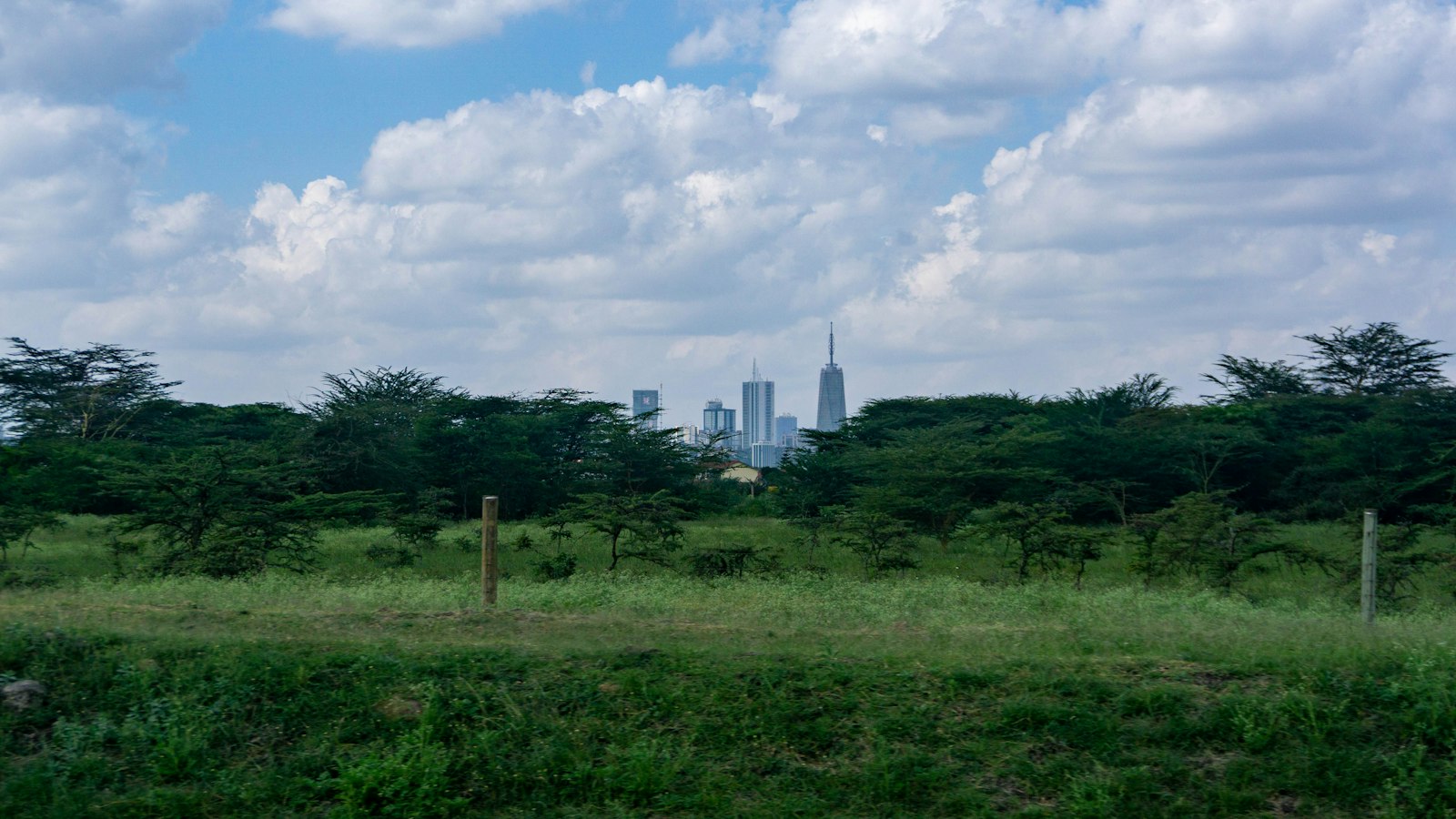 Vista del perfil urbano de Nairobi desde el parque nacional